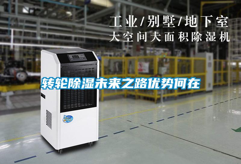 欧美黄色电影在线播放 转轮除湿未来之路优势何在