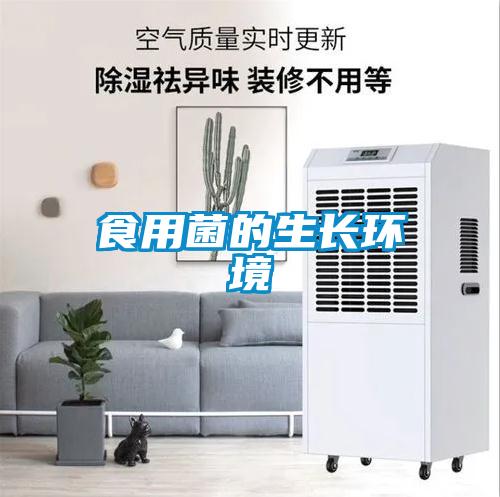 欧美黄色电影在线播放 食用菌的生长环境