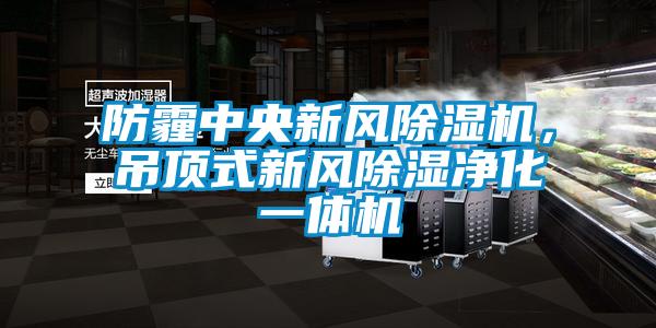 欧美成色手机在线观看 防霾中央新风除湿机，吊顶式新风除湿净化一体机