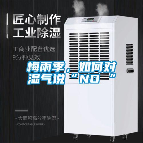 欧美黄色电影在线播放 梅雨季，如何对湿气说“NO ”