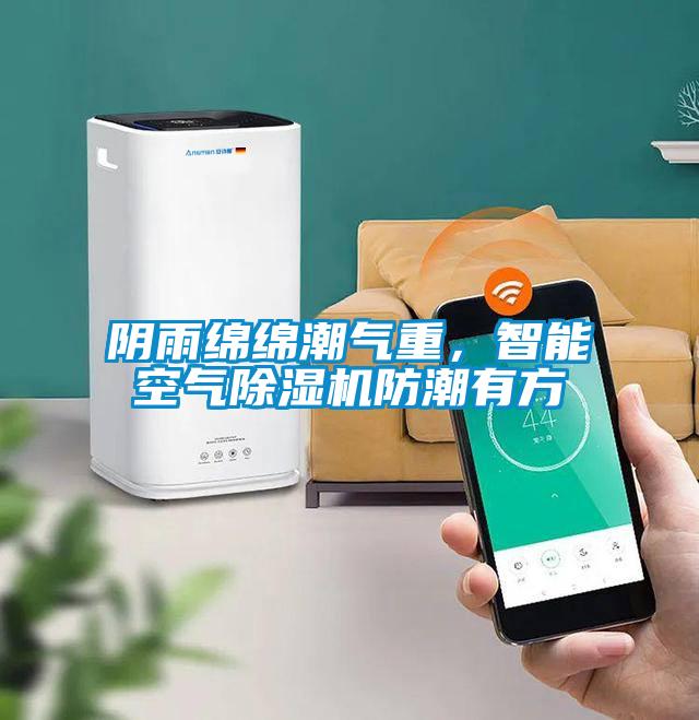 欧美黄色性爱视频网站 阴雨绵绵潮气重，智能空气除湿机防潮有方