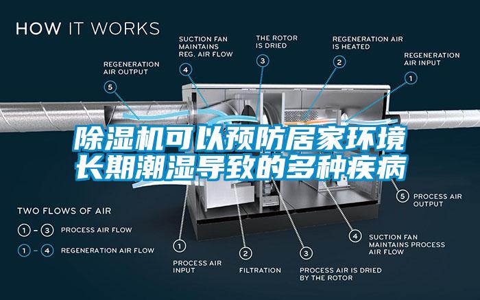 欧美黄色电影在线播放 除湿机可以预防居家环境长期潮湿导致的多种疾病