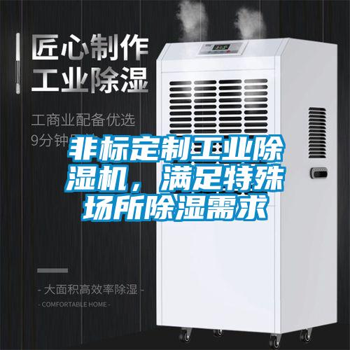 欧美黄色性爱视频网站 非标定制工业除湿机，满足特殊场所除湿需求