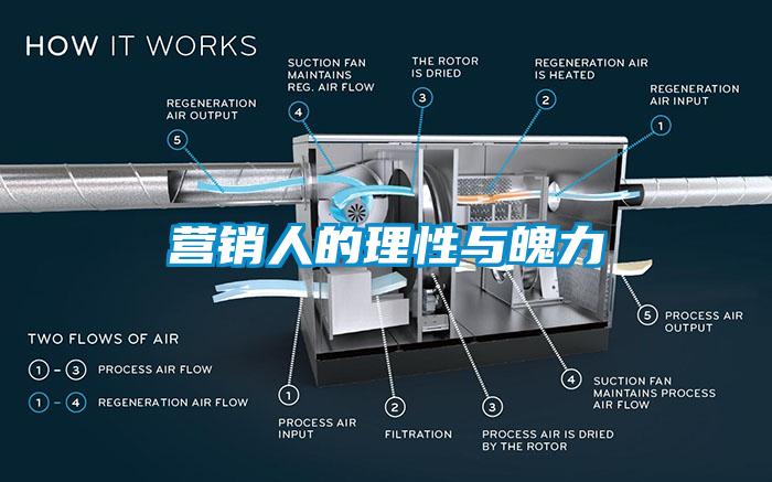 欧美黄色电影在线播放 营销人的理性与魄力