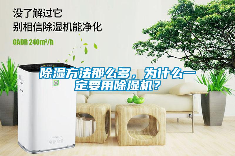 欧美黄色电影在线播放 除湿方法那么多，为什么一定要用除湿机？