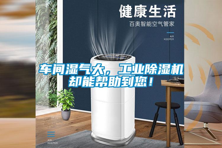 欧美黄色性爱视频网站 车间湿气大，工业除湿机却能帮助到您！