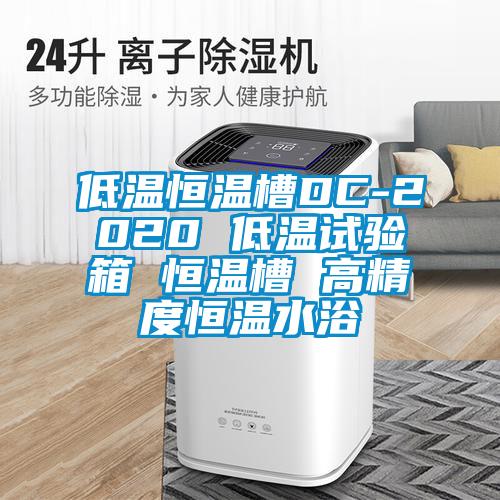 欧美成色手机在线观看 低温恒温槽DC-2020 低温试验箱 恒温槽 高精度恒温水浴