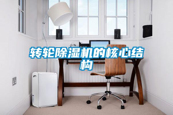 欧美黄色电影在线播放 转轮除湿机的核心结构