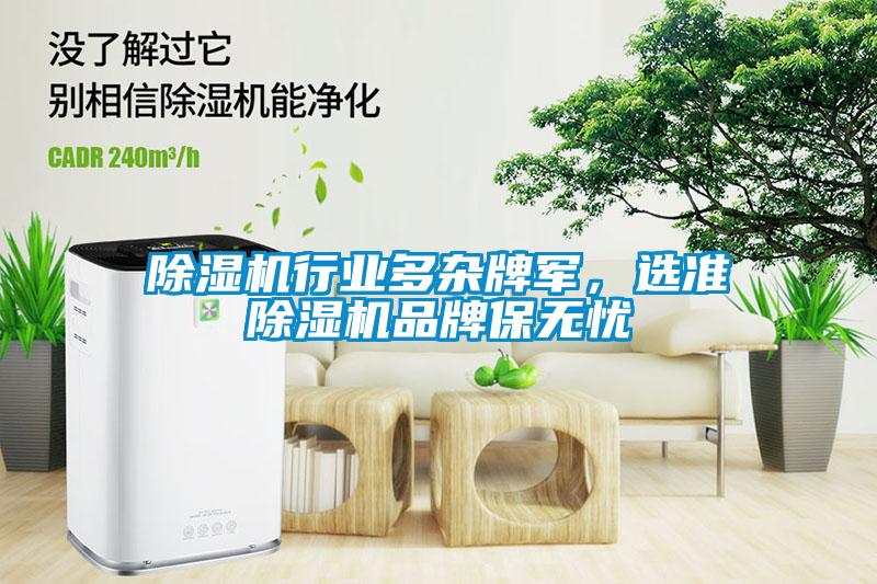 欧美成色手机在线观看 除湿机行业多杂牌军，选准除湿机品牌保无忧