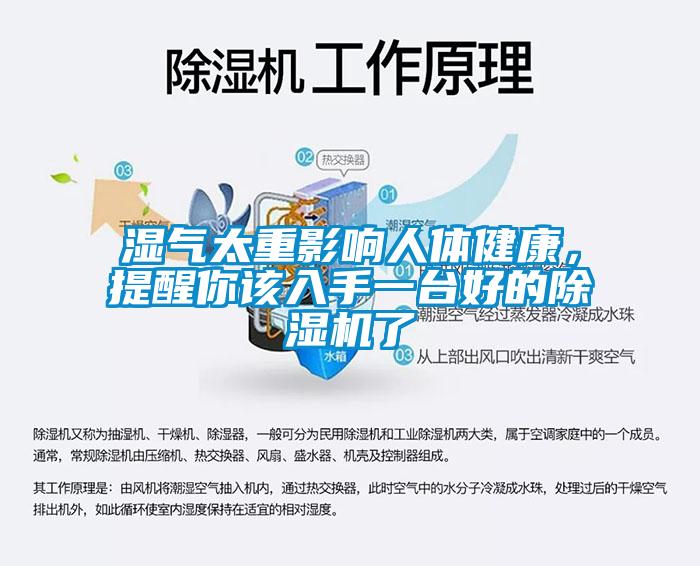 欧美黄色性爱视频网站 湿气太重影响人体健康，提醒你该入手一台好的除湿机了