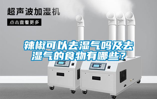 欧美成色手机在线观看 辣椒可以去湿气吗及去湿气的食物有哪些？