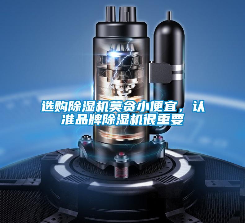 欧美成色手机在线观看 选购除湿机莫贪小便宜，认准品牌除湿机很重要