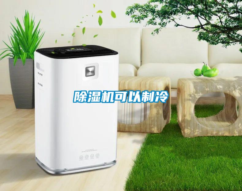 欧美黄色性爱视频网站 除湿机可以制冷