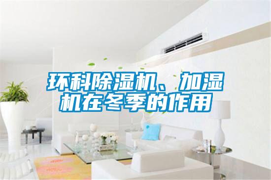 欧美黄色电影在线播放 环科除湿机、加湿机在冬季的作用