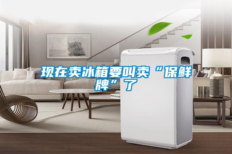 欧美成色手机在线观看 现在卖冰箱要叫卖“保鲜牌”了