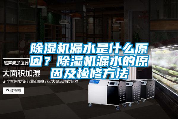 欧美成色手机在线观看 除湿机漏水是什么原因？除湿机漏水的原因及检修方法