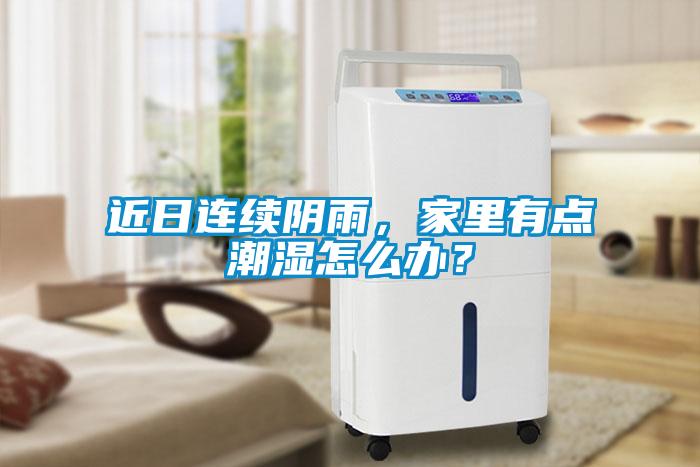 欧美成色手机在线观看 近日连续阴雨，家里有点潮湿怎么办？