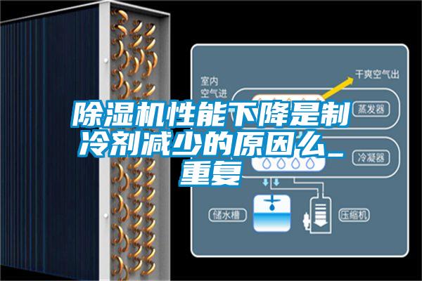 欧美黄色电影在线播放 除湿机性能下降是制冷剂减少的原因么_重复