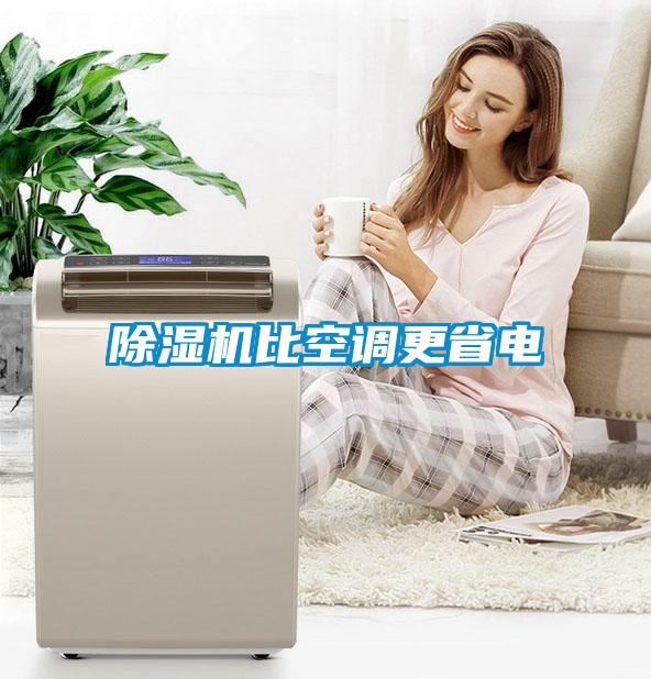 欧美黄色电影在线播放 除湿机比空调更省电