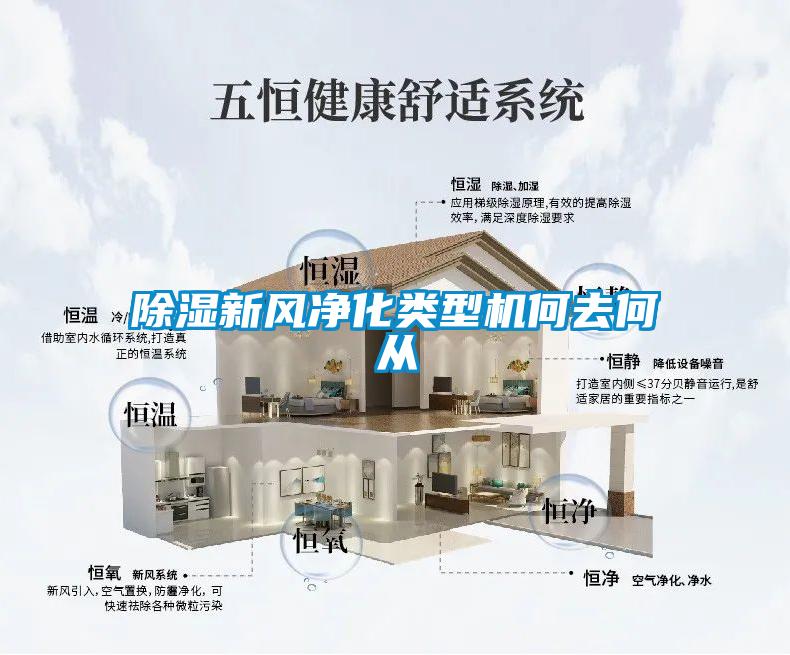 欧美黄色性爱视频网站 除湿新风净化类型机何去何从