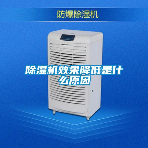欧美成色手机在线观看 除湿机效果降低是什么原因