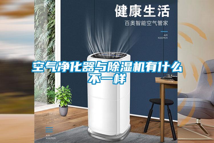 欧美成色手机在线观看 空气净化器与除湿机有什么不一样