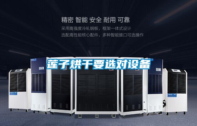 欧美黄色电影在线播放 莲子烘干要选对设备