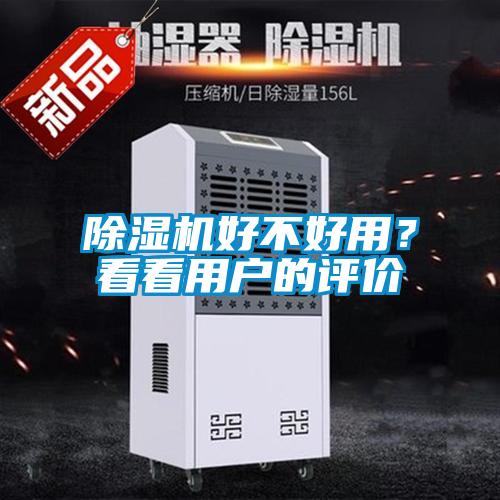 欧美黄色性爱视频网站 除湿机好不好用？看看用户的评价