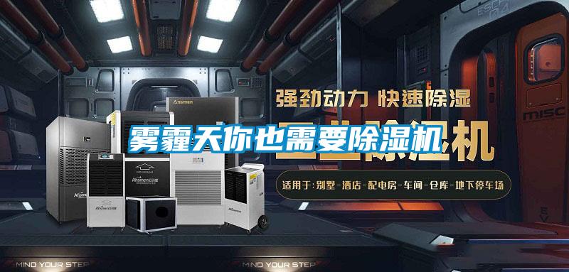 欧美成色手机在线观看 雾霾天你也需要除湿机