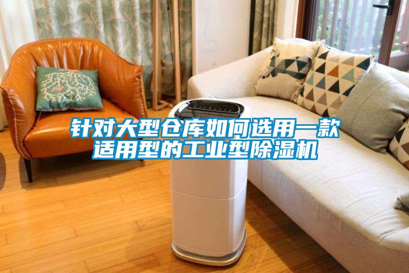 欧美黄色性爱视频网站 针对大型仓库如何选用一款适用型的工业型除湿机