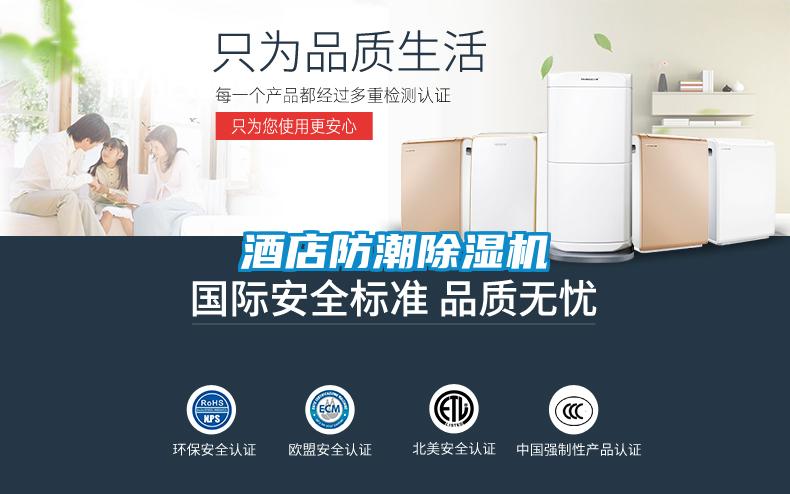 欧美黄色性爱视频网站 酒店防潮除湿机