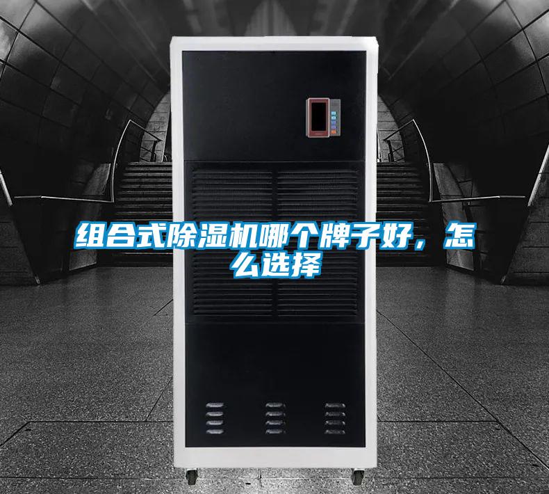 欧美黄色性爱视频网站 组合式除湿机哪个牌子好，怎么选择