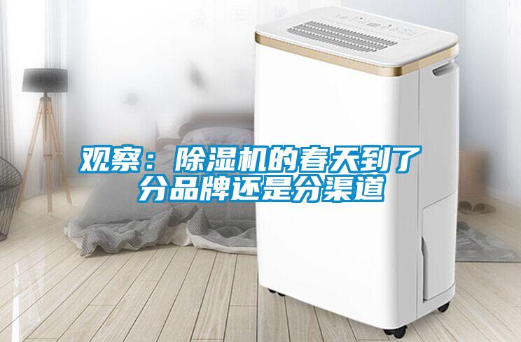 欧美成色手机在线观看 观察：除湿机的春天到了 分品牌还是分渠道