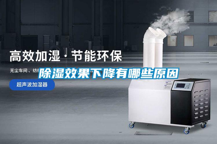 欧美黄色性爱视频网站 除湿效果下降有哪些原因