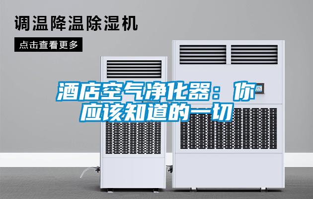 欧美成色手机在线观看 酒店空气净化器：你应该知道的一切