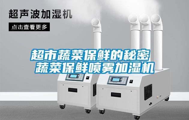 欧美成色手机在线观看 超市蔬菜保鲜的秘密 蔬菜保鲜喷雾加湿机
