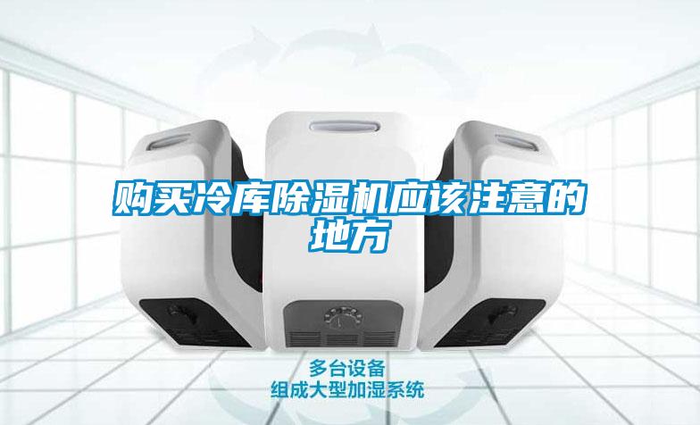 欧美黄色性爱视频网站 购买冷库除湿机应该注意的地方