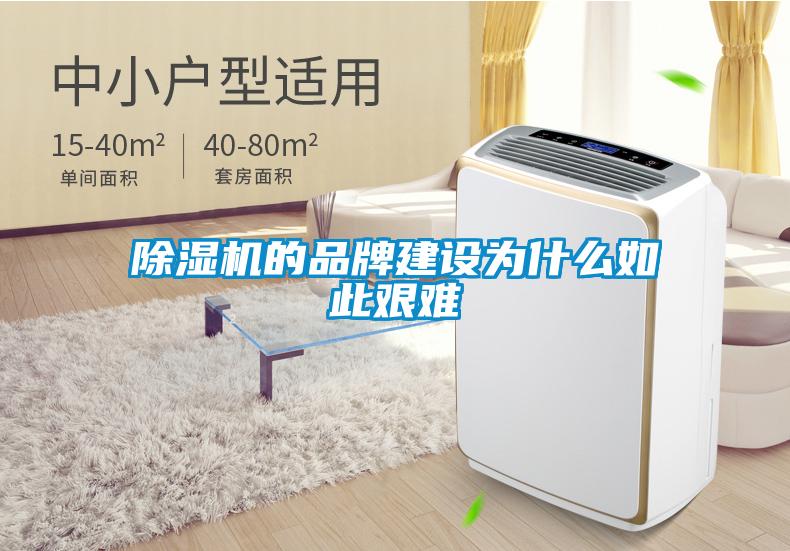 欧美成色手机在线观看 除湿机的品牌建设为什么如此艰难