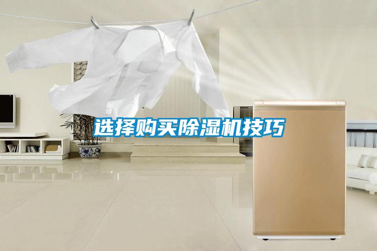 欧美成色手机在线观看 选择购买除湿机技巧