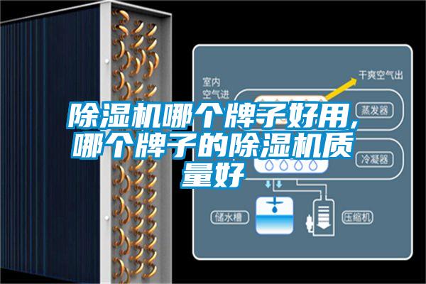 欧美黄色性爱视频网站 除湿机哪个牌子好用,哪个牌子的除湿机质量好