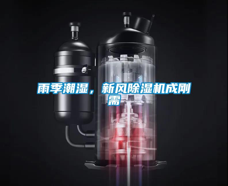 欧美黄色电影在线播放 雨季潮湿，新风除湿机成刚需