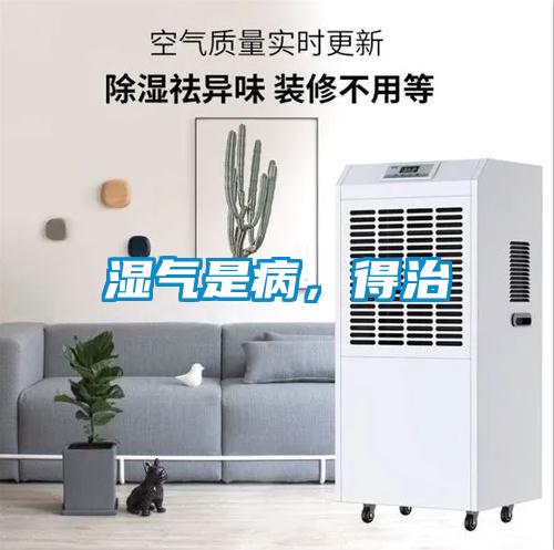 欧美黄色电影在线播放 湿气是病，得治