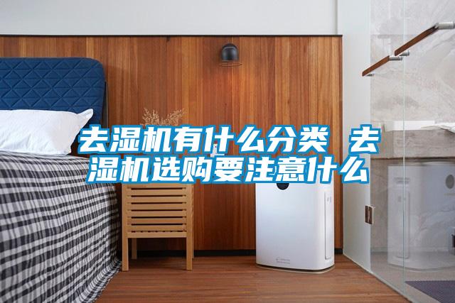 欧美黄色性爱视频网站 去湿机有什么分类 去湿机选购要注意什么