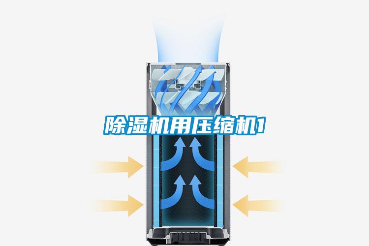 欧美成色手机在线观看 除湿机用压缩机1