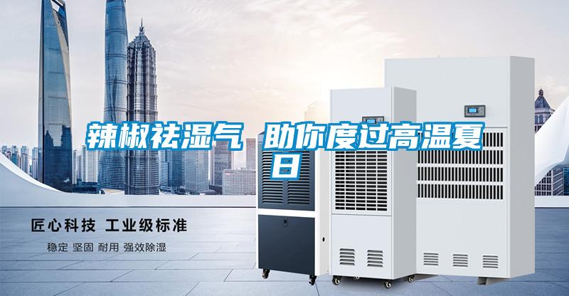 欧美成色手机在线观看 辣椒祛湿气 助你度过高温夏日