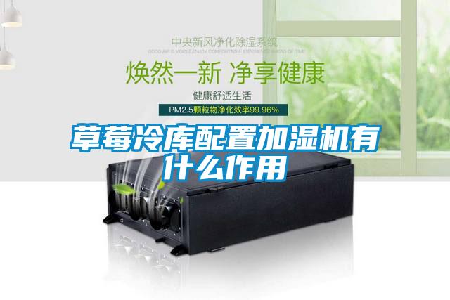 欧美成色手机在线观看 草莓冷库配置加湿机有什么作用