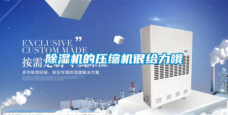 欧美成色手机在线观看 除湿机的压缩机很给力哦