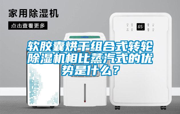 欧美黄色电影在线播放 软胶囊烘干组合式转轮除湿机相比蒸汽式的优势是什么？
