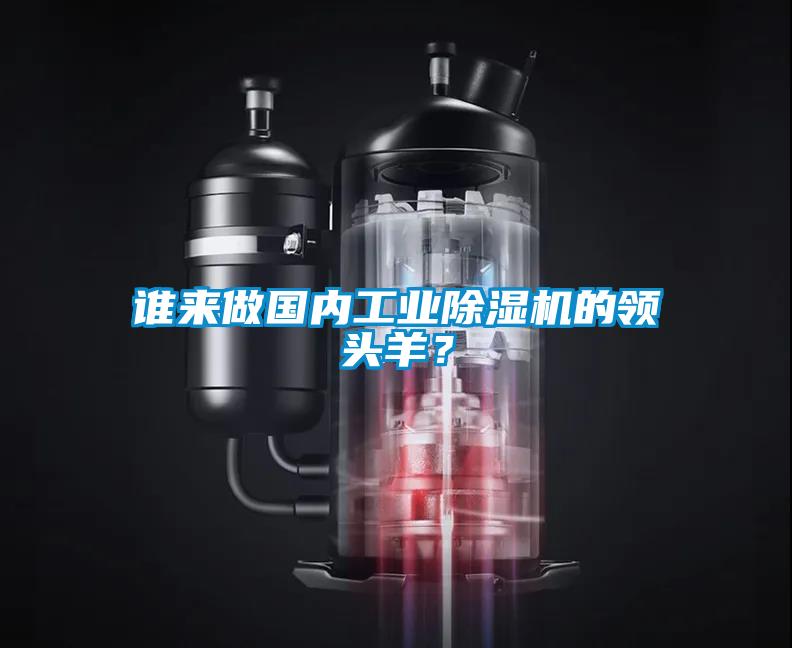 欧美黄色性爱视频网站 谁来做国内工业除湿机的领头羊？