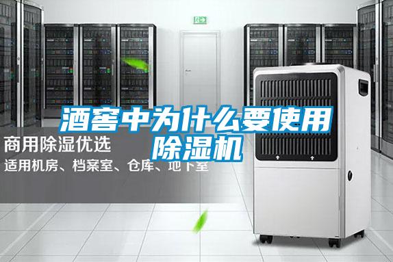 欧美黄色电影在线播放 酒窖中为什么要使用除湿机